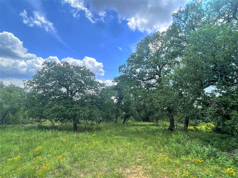 More Photos Of TBD County Road 110 c, Burnet Land For Sale