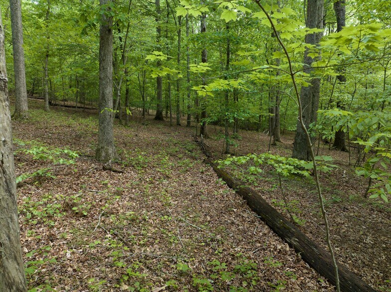 More Photos Of 899 W Mills Street, Columbus Land For Sale