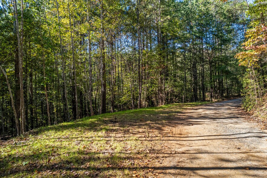 More Photos Of 367 Old 2 hwy, Cisco Land For Sale