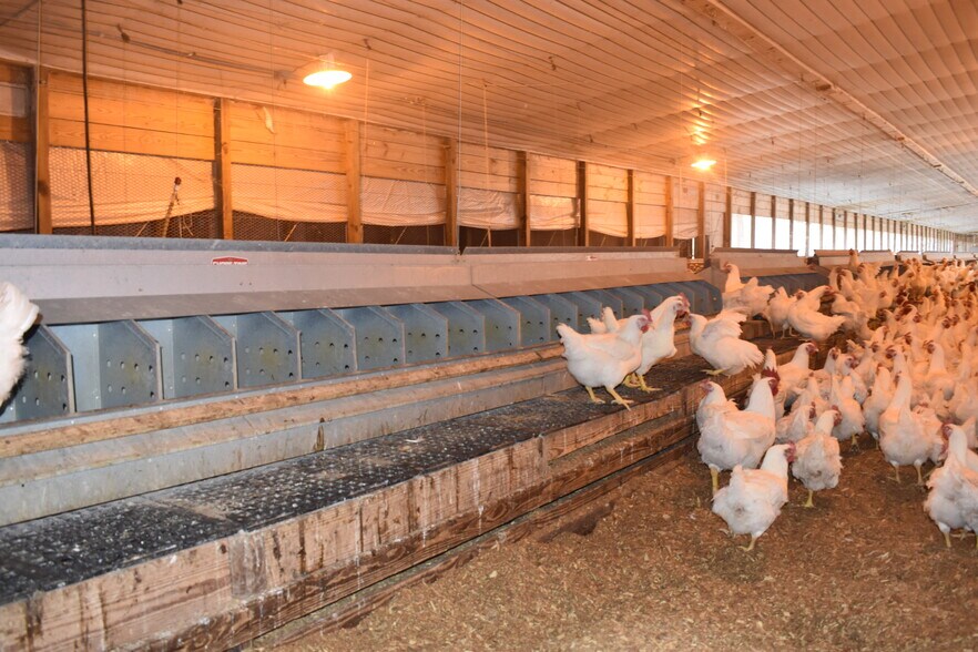 More Photos Of 441 Weaver Rd, Moultrie Land For Sale