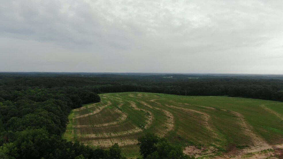 Primary Photo Of 0 Dozier Road, Enterprise Land For Lease