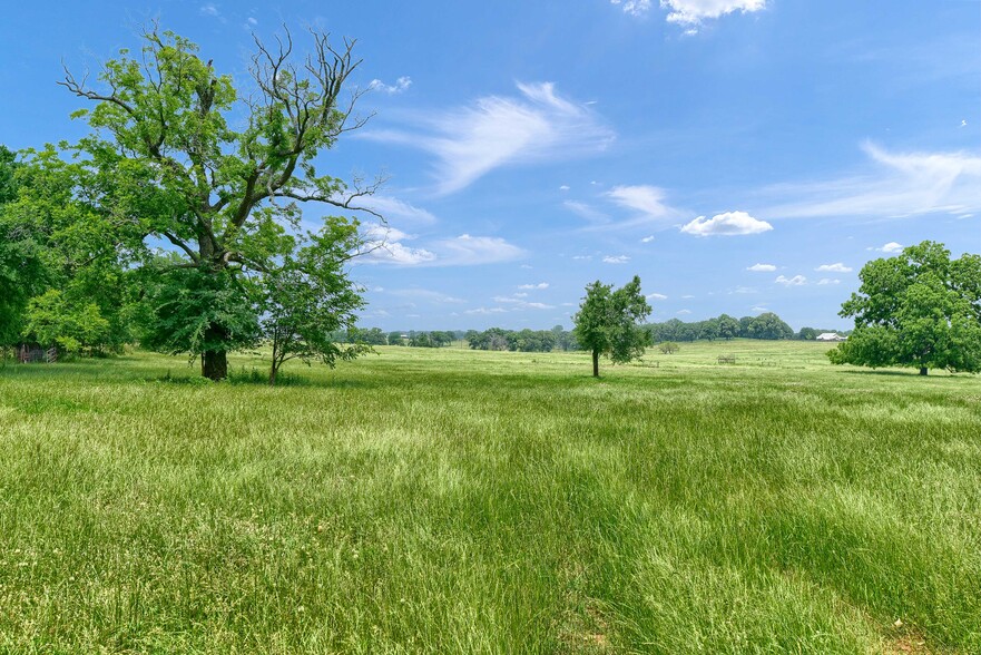 Primary Photo Of TBD Bones Chapel Rd, Whitesboro Land For Sale