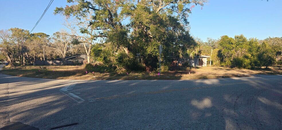More Photos Of 4501 Clewis Ave, Tampa Land For Sale