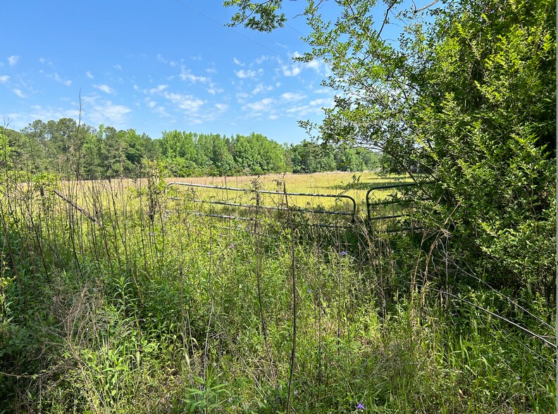 More Photos Of 4115 Seed Tick Rd, Ellabell Land For Sale