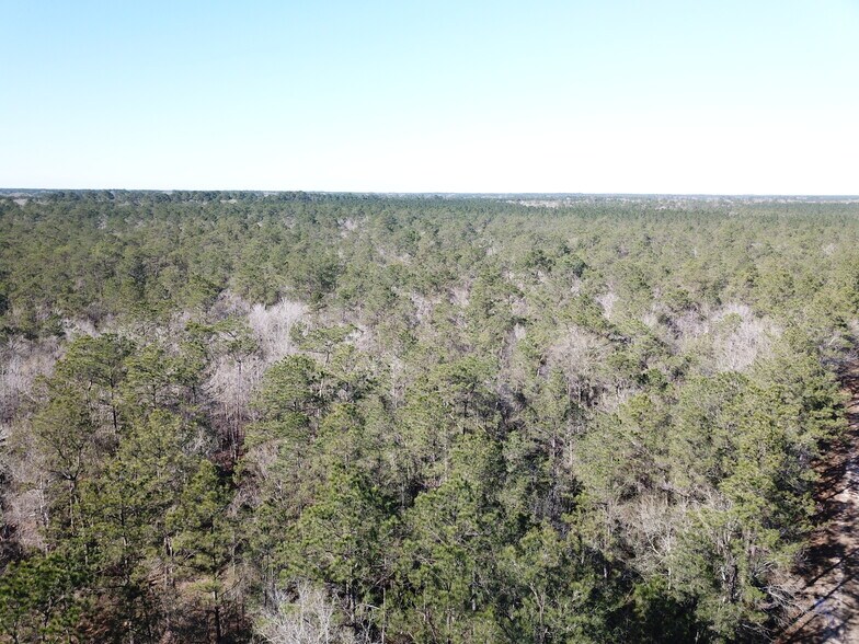 More Photos Of Corrigan Road, Vidor Land For Sale
