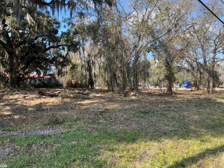 More Photos Of 3855 Darien Hwy, Brunswick Land For Sale