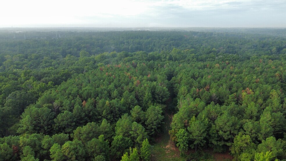 More Photos Of 7469 HIGHWAY 69, Tyler Land For Sale