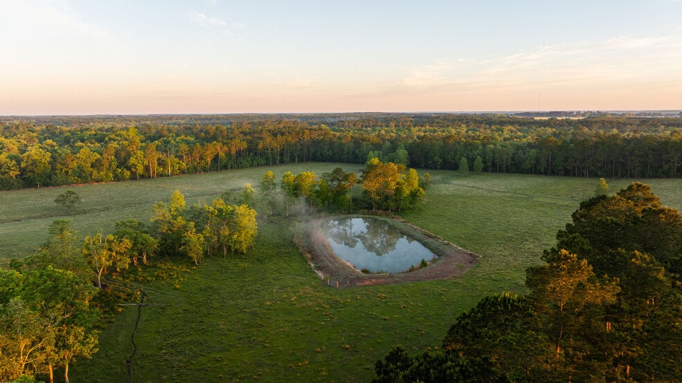 More Photos Of 24795 County Road 32, Elberta Land For Sale