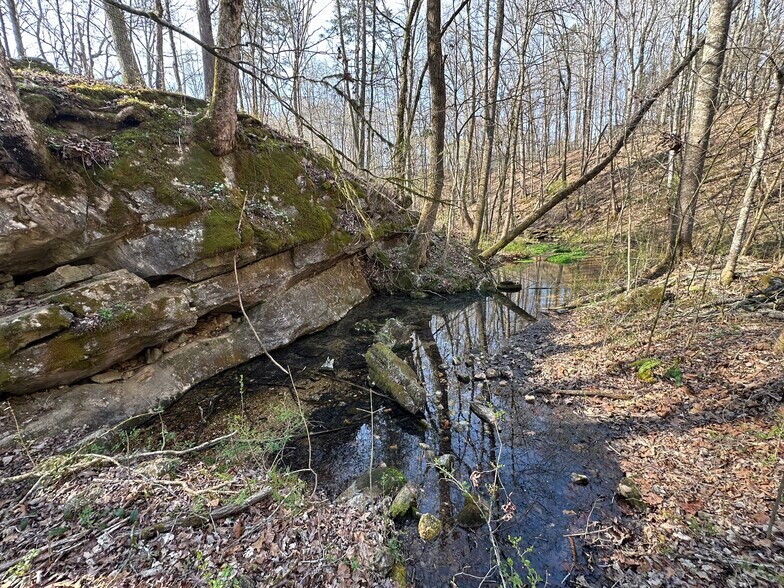 More Photos Of 7312 Highway 60, Georgetown Land For Sale