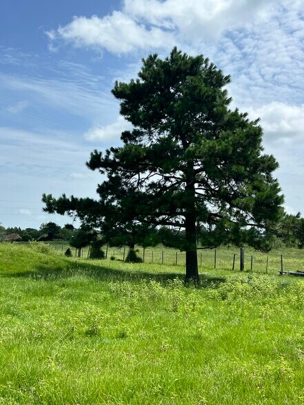 More Photos Of 20573 Fontenot Ln, Hempstead Land For Sale