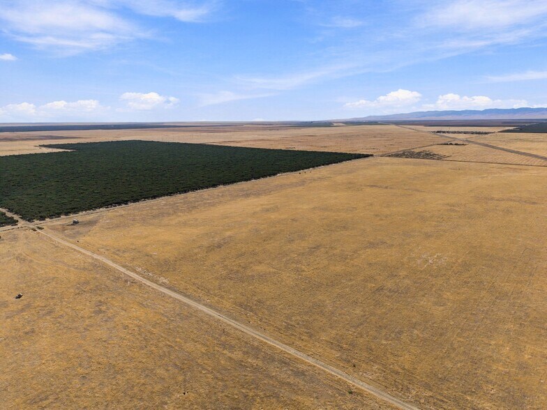 More Photos Of 12678 CA-33 hwy, Lost Hills Land For Sale