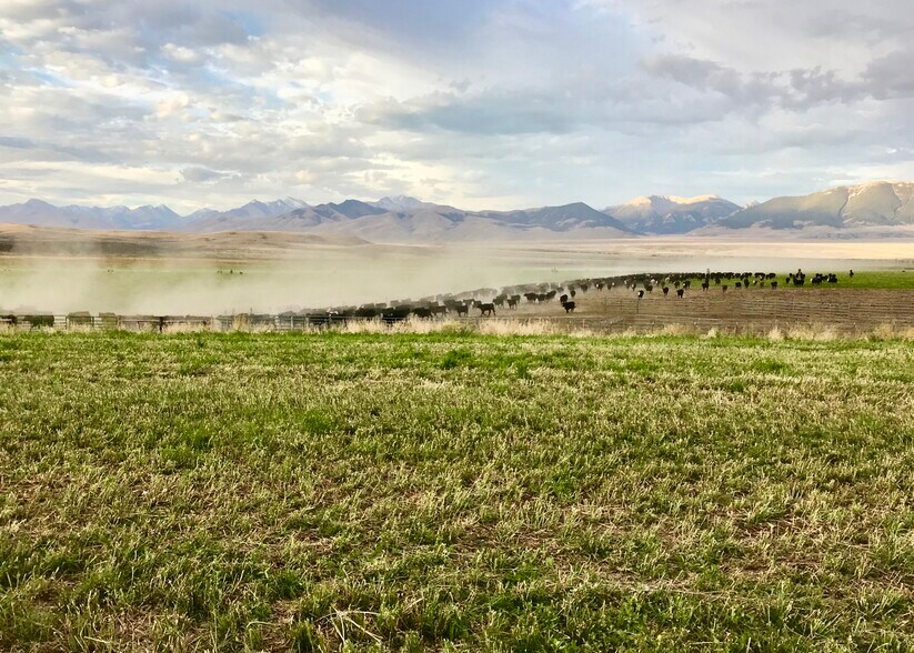 More Photos Of 3750 Pahsimeroi Rd, May Land For Sale