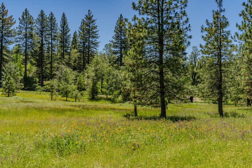 More Photos Of 25755 State Highway 88, Pioneer Land For Sale