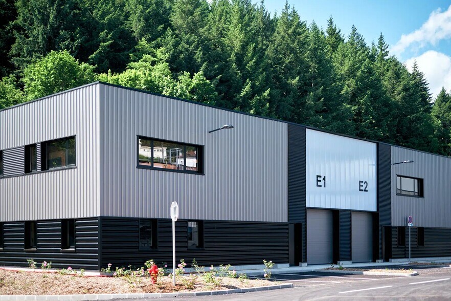 Primary Photo Of 17 Rue De Paris, Tarare Light Manufacturing For Lease