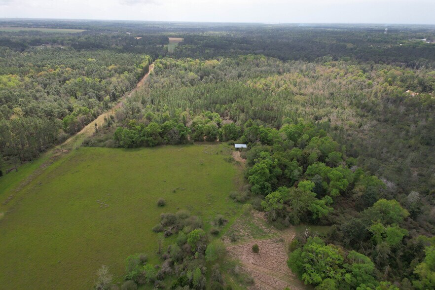 More Photos Of 12960 County Road 48, Silverhill Land For Sale
