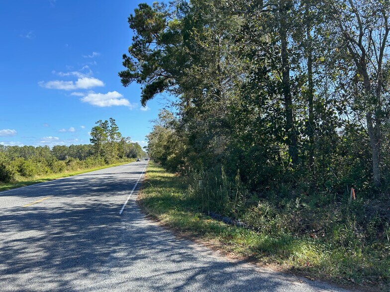 Primary Photo Of SW Bascom Norris Dr, Lake City Land For Sale