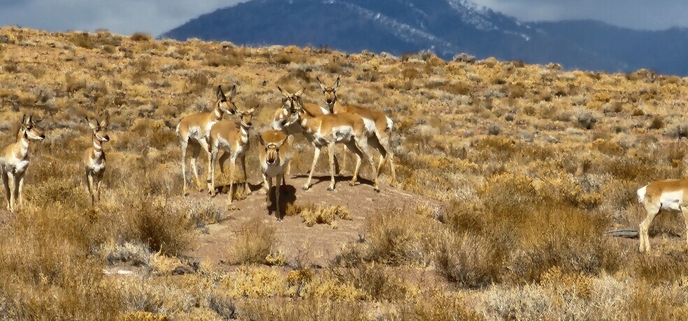 More Photos Of 7990 Highway 264, Dyer Trailer Camper Park For Sale