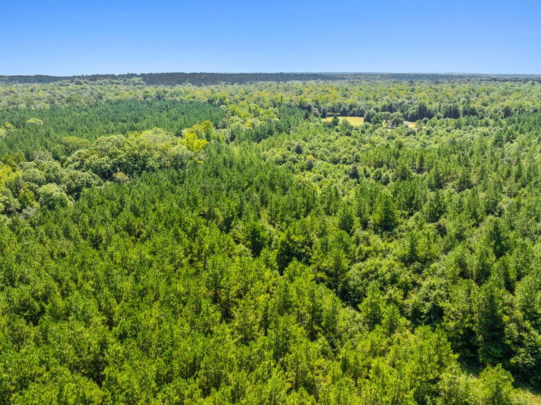 More Photos Of 7471 Highway 155, Saline Land For Sale