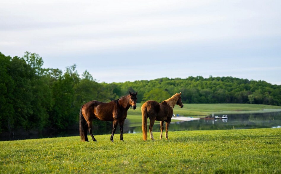 More Photos Of 6887 Blenheim Rd, Scottsville Land For Sale