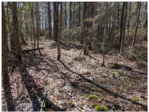 More Photos Of 0 Old Eden Rd, Eden Land For Sale