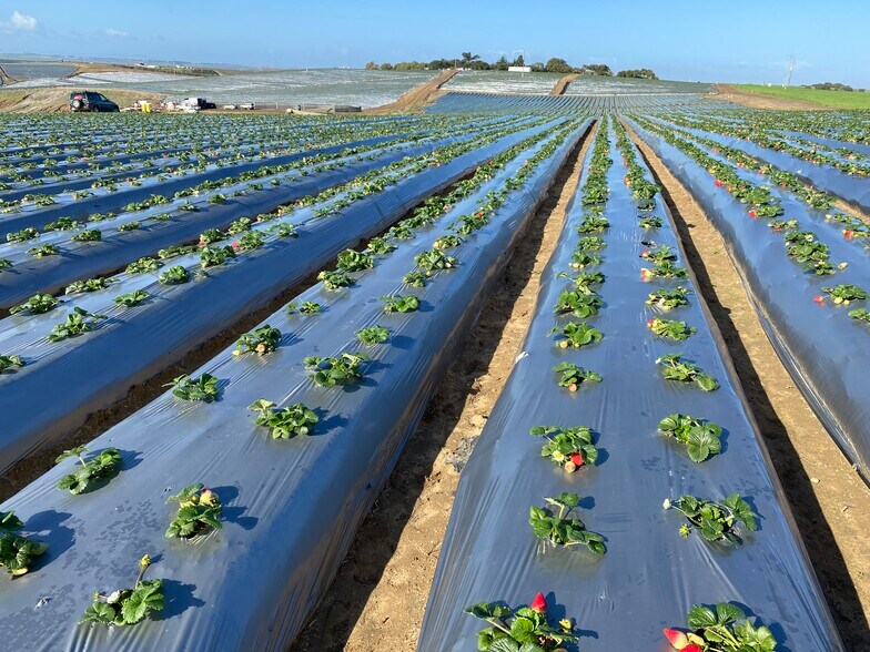 More Photos Of 14910-15740 Blackie Rd, Salinas Land For Sale