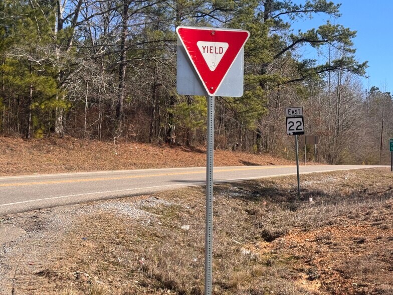 More Photos Of U.S. 31, Verbena Land For Sale