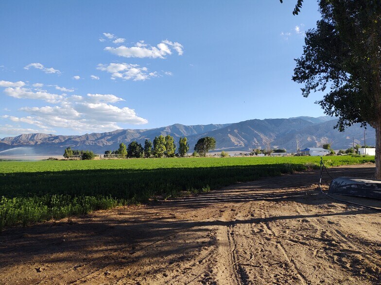 More Photos Of Fish Lake Valley, Dyer Land For Sale