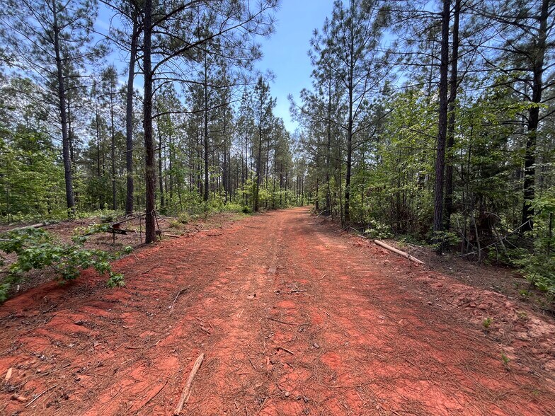 More Photos Of 00 00 Youngstown Rd, Goochland Land For Sale