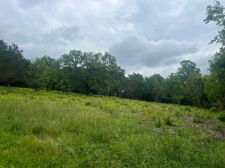 More Photos Of 2601 Una Antioch Pike, Antioch Land For Sale