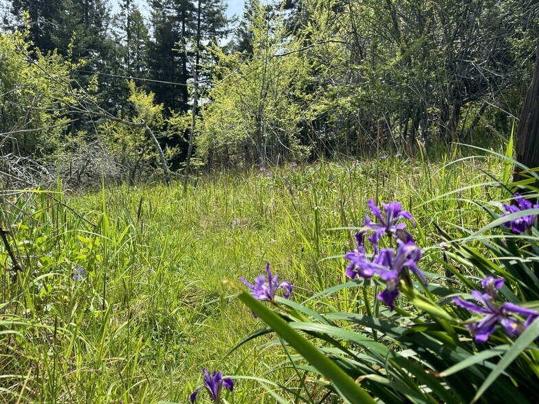 Primary Photo Of 23501 Branscomb Rd, Westport Land For Sale