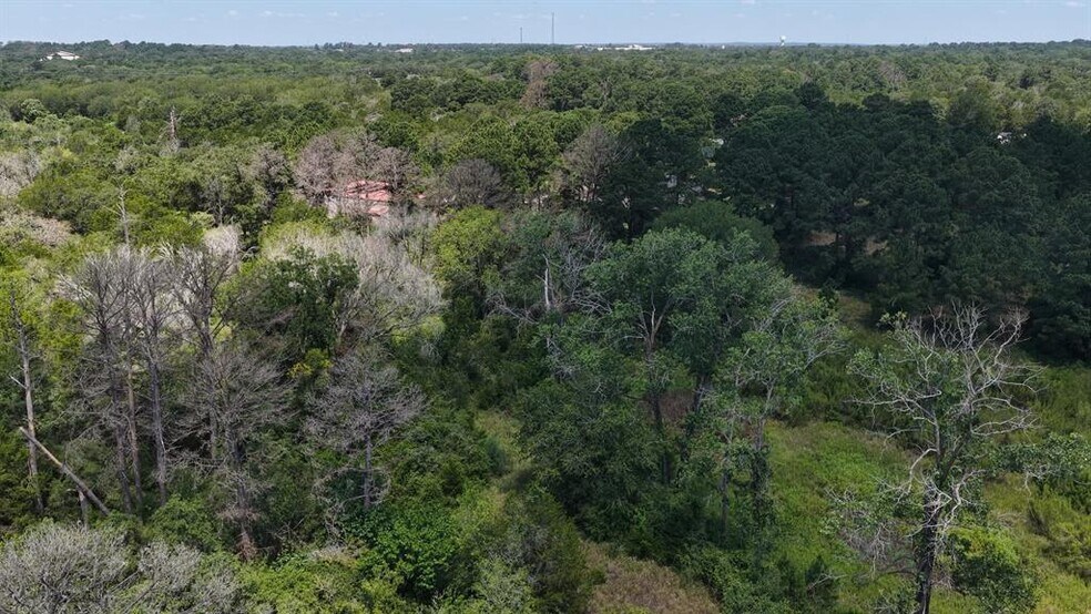 More Photos Of 379 Matthew Cv, Bastrop Land For Sale
