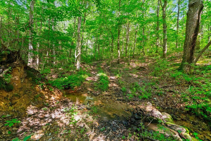 More Photos Of 2948 Holly Creek Cool Sprgs Rd, Chatsworth Specialty For Sale