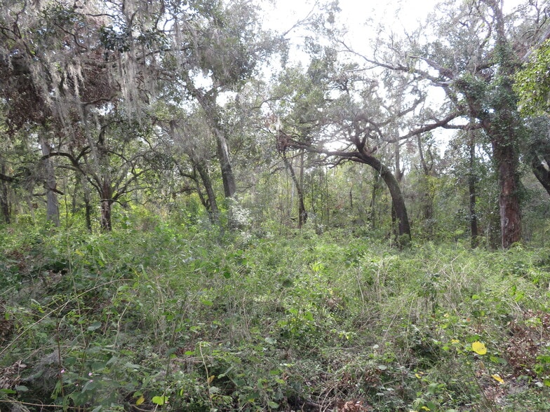 More Photos Of 14451 Curley Rd, Dade City Land For Sale