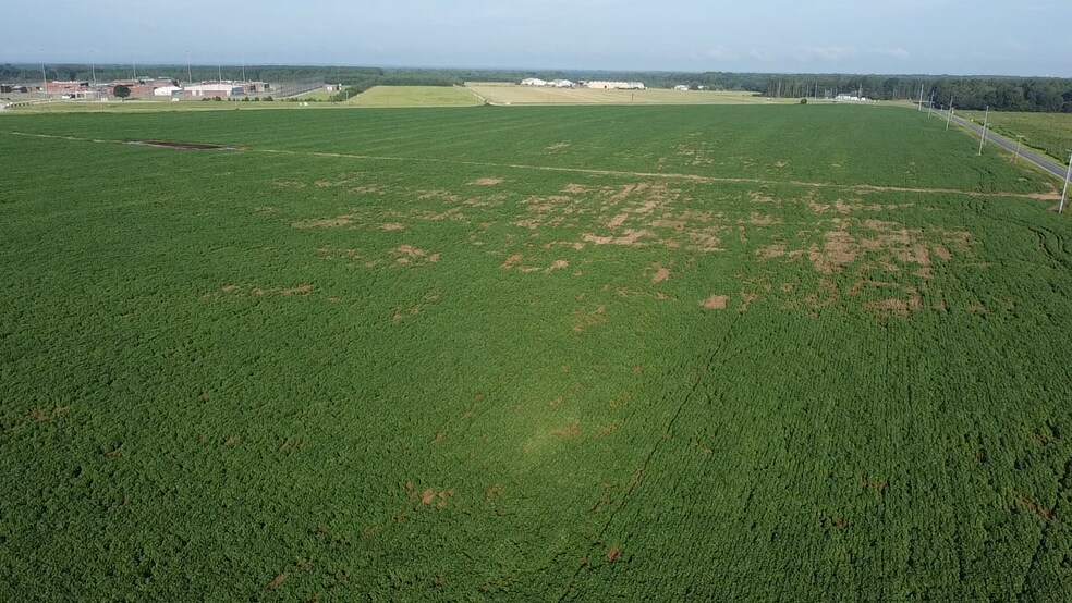 More Photos Of Hwy 9 @ Beauty Spot Rd, Bennettsville Land For Sale