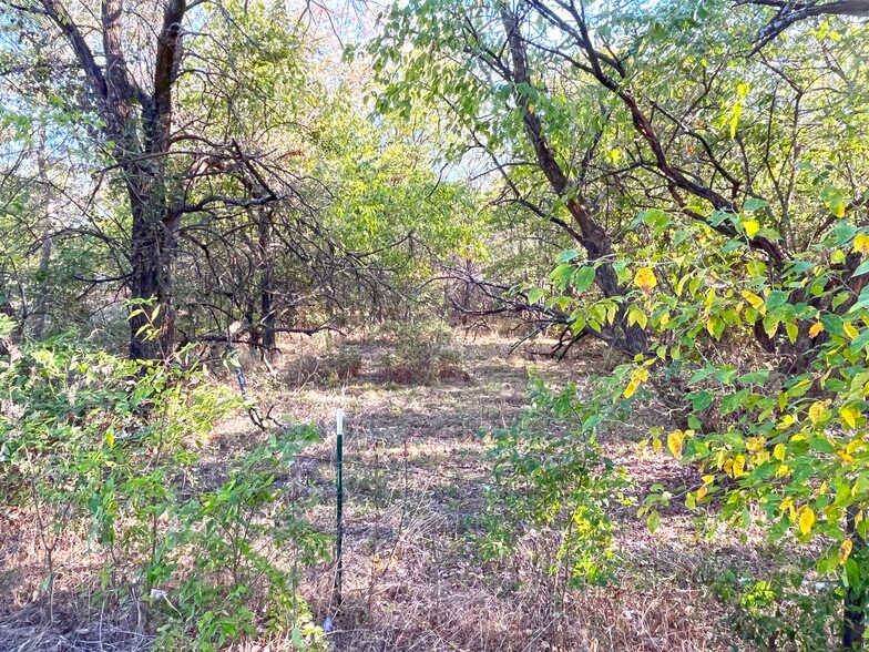 More Photos Of TBD HWY 289, Gunter Land For Sale