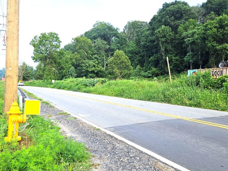 Primary Photo Of 0 Swannanoa River Rd, Asheville Land For Sale