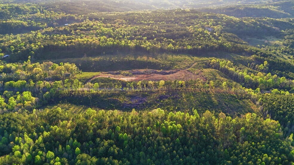 More Photos Of 0 Highway 269, Parrish Land For Sale