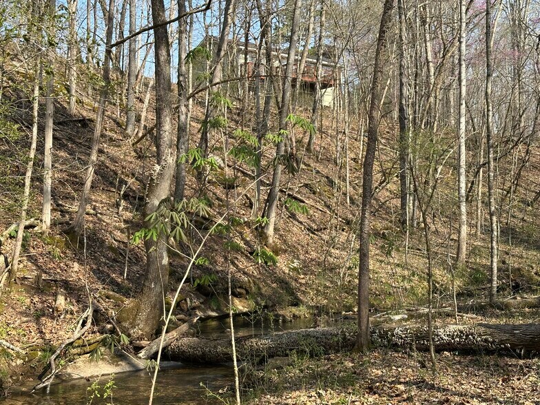 More Photos Of 7312 Highway 60, Georgetown Land For Sale