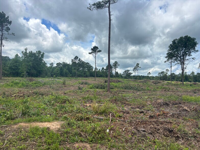 More Photos Of TBD CR 3665 Queen City Texas 20 Acres, Queen City Land For Sale