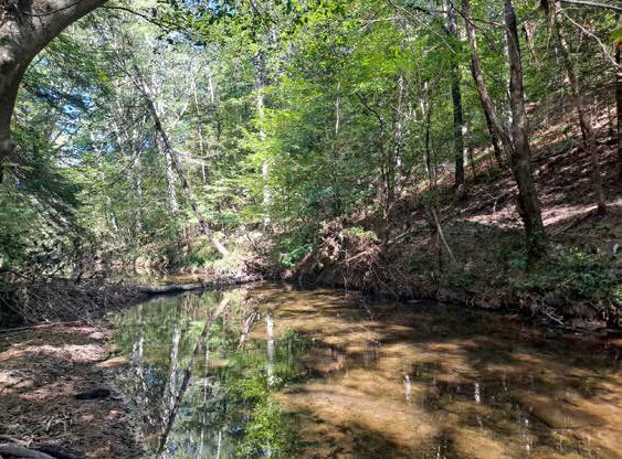 More Photos Of 0 AL 13, Nauvoo Land For Sale