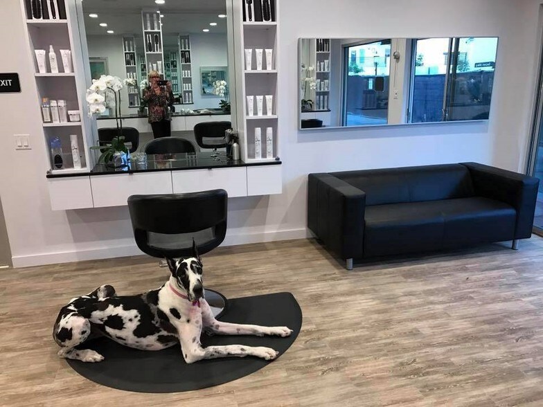 More Photos Of 3416 Via Lido, Newport Beach Storefront Retail Office For Lease