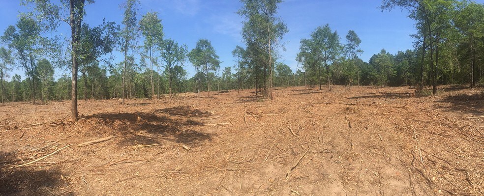 More Photos Of Eliza Jordan Rd, Mobile Land For Sale