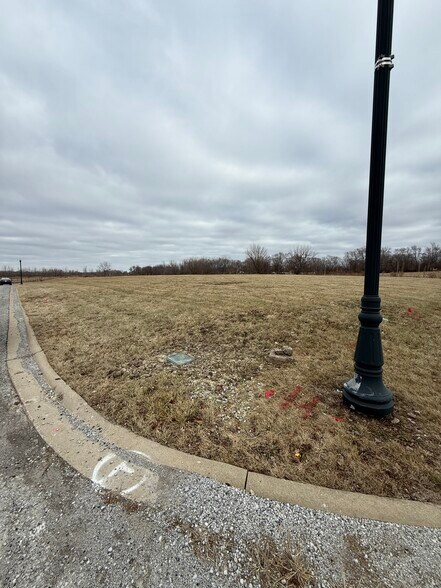 More Photos Of 958 Regent Dr, Matteson Land For Sale