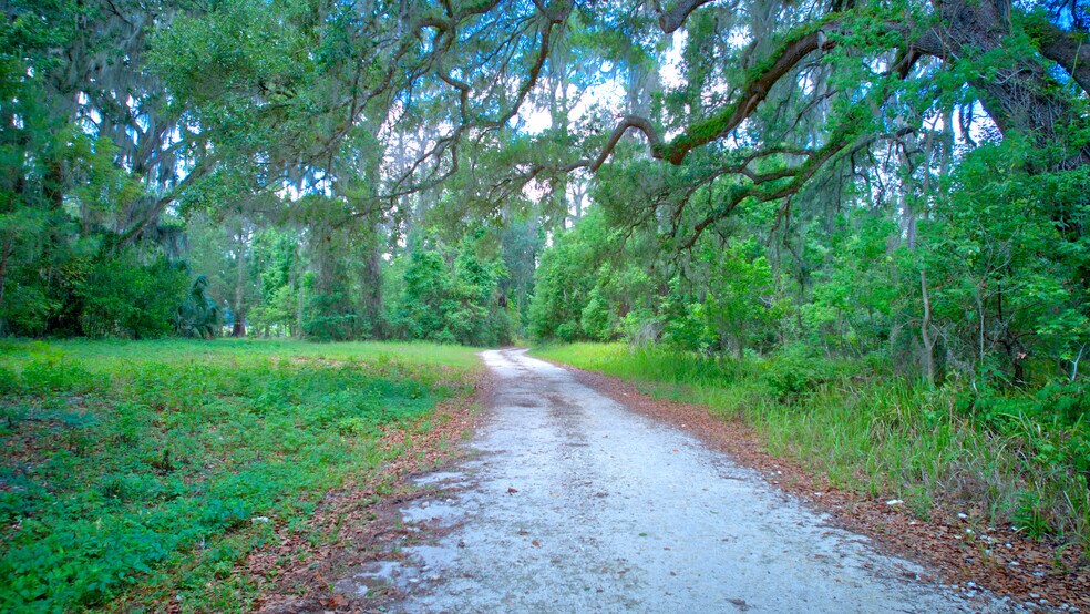 More Photos Of 3267 Neff Lake Rd, Brooksville Land For Sale