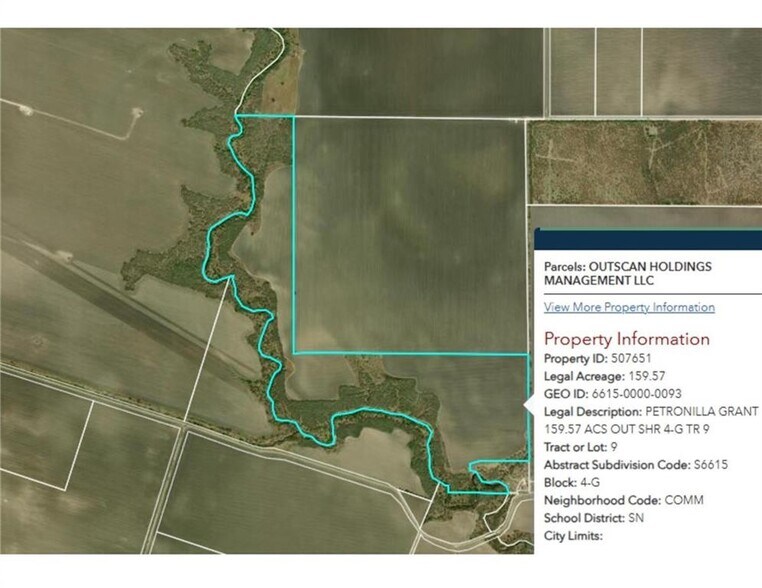 Primary Photo Of 0 CR 20, Petronila Land For Sale