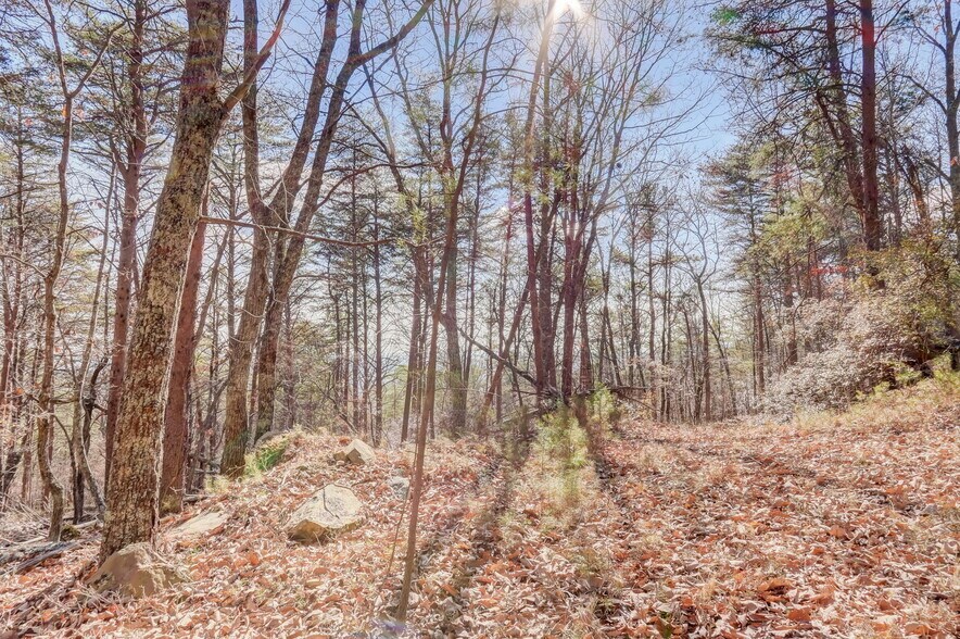 More Photos Of 1915 Tower Trl, Waleska Land For Sale