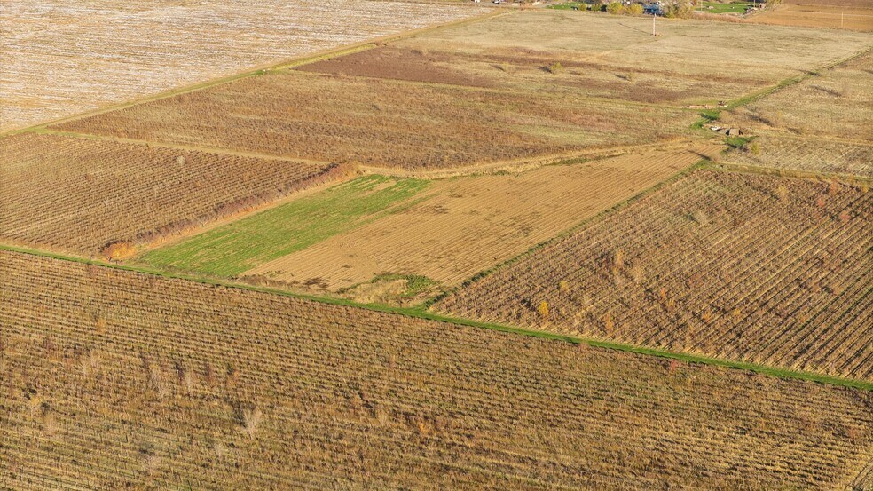 More Photos Of 6263 Ashue Rd, Wapato Land For Sale