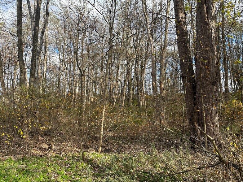 More Photos Of 143 Vail Rd, Columbia Land For Sale