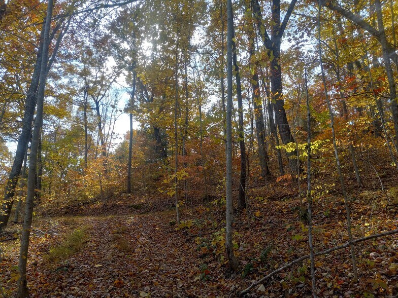 More Photos Of 1737A High Rock Rd, Stanton Land For Sale