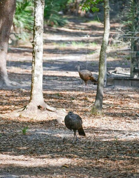 More Photos Of 3893 NW 50th Drive, Okeechobee Land For Sale